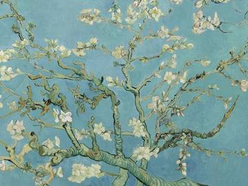 Prémium fából készült kirakós játékokat vásárol