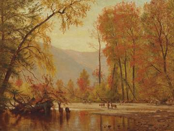 Αγοράστε ξύλινα παζλ Premium