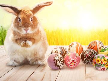 プレミアム木製パズルを購入する