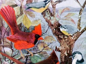 プレミアム木製パズルを購入する