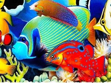 Acheter des puzzles en bois de qualité supérieure