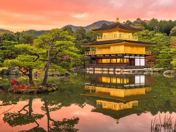 Prémium fából készült kirakós játékokat vásárol