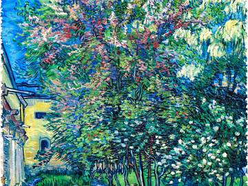 Koupit dřevěné puzzle Premium