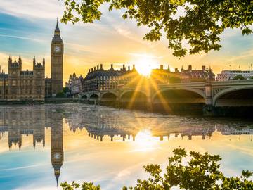 Cumpărați puzzle-uri premium din lemn