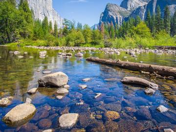 Купете дървени пъзели Premium