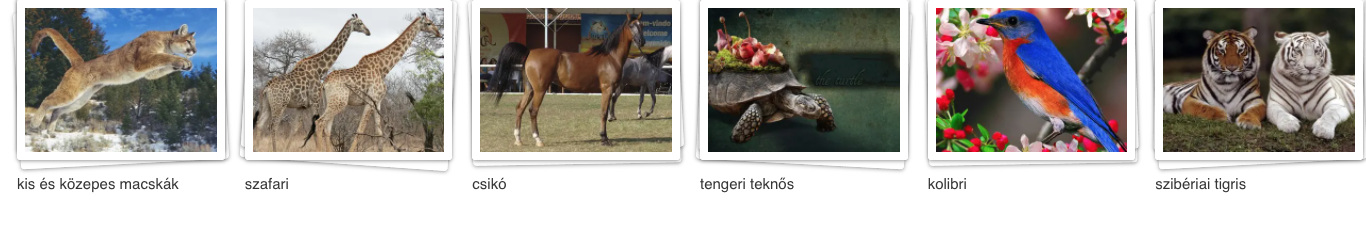 Alkategóriák