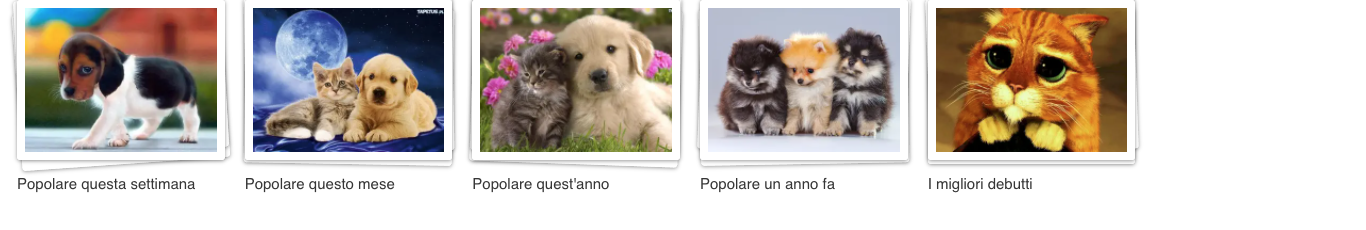 Sottocategorie