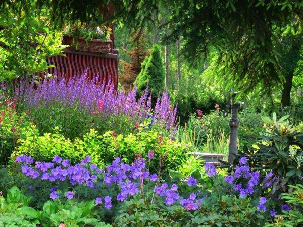 κήπος με λουλούδια με αντλία παζλ online