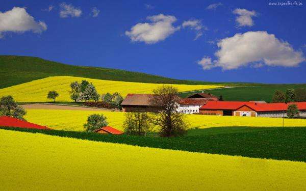 Rural landscape jigsaw puzzle online