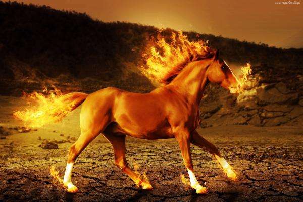 ohnivý kůň skládačky online