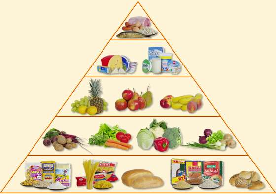 pirámide alimenticia rompecabezas