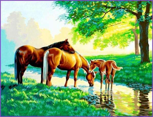 HERD OF HORSES jigsaw puzzle online