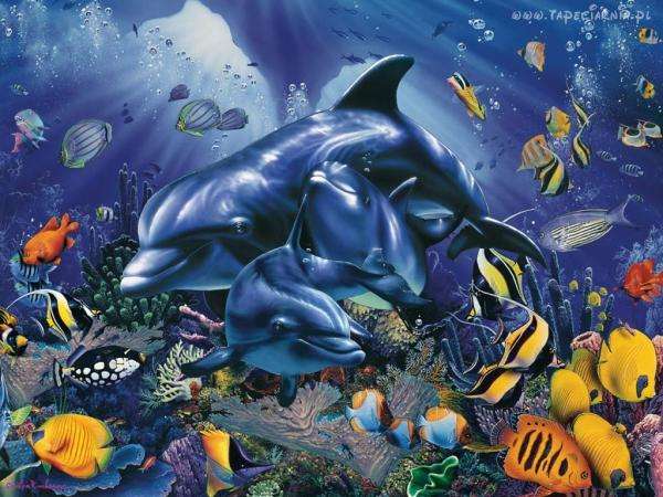 coral reef dolphins jigsaw puzzle online