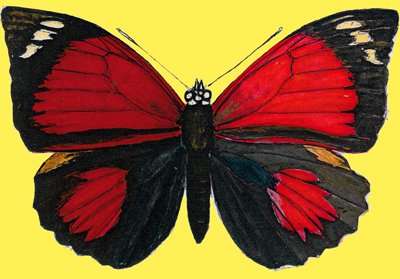 papillon rouge puzzle en ligne