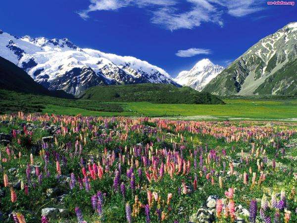 lupins in the mountains online puzzle
