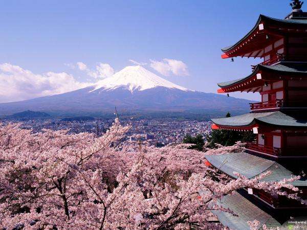 Sakura-Japón rompecabezas en línea