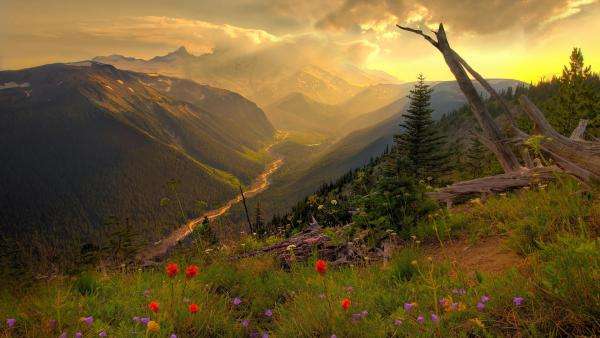 bloemen van bergtakken legpuzzel online