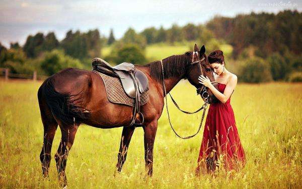 Kvinnan och hästen pussel på nätet