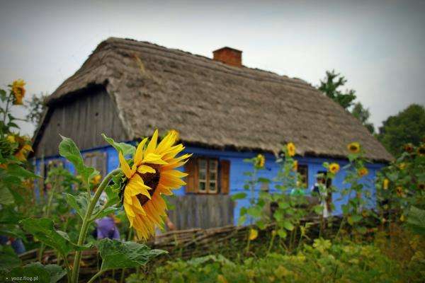 Ferienhaus mit Sonnenblumen Online-Puzzle