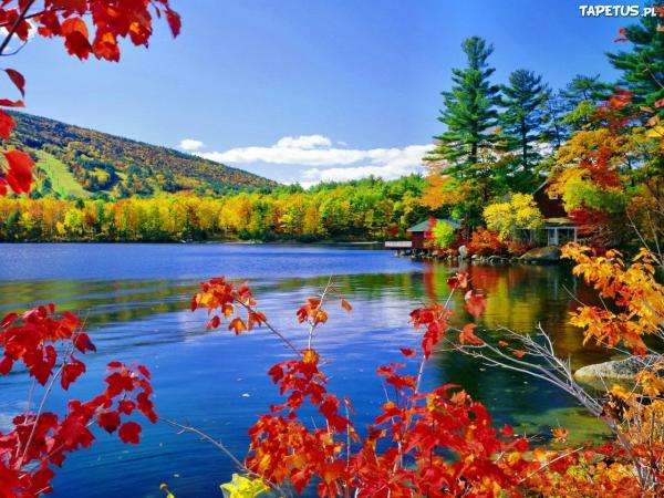 jezero, podzimní stromy, domy online puzzle