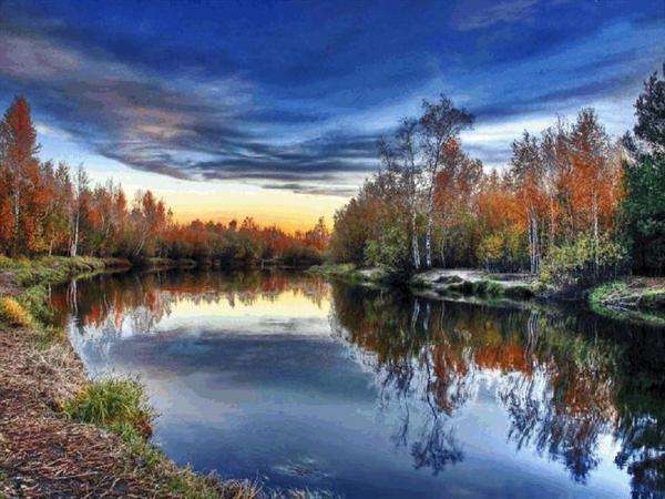 river in a birch forest jigsaw puzzle online