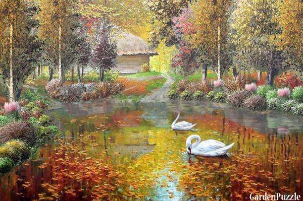 park, autumn, swans online puzzle
