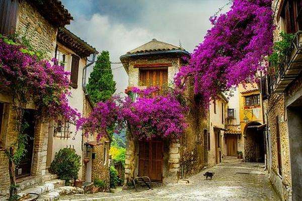 Straße in der Provence Puzzlespiel online