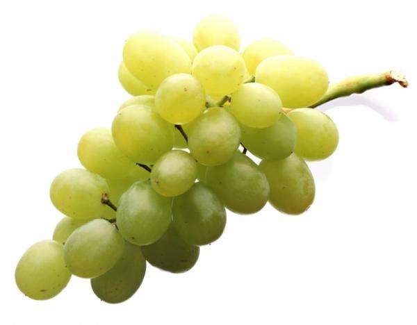 Paulina's grapes online puzzle
