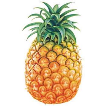 Paulinas ananas pussel på nätet