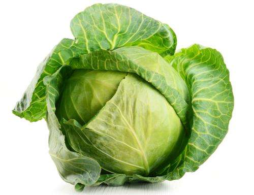 Olek's cabbage jigsaw puzzle online
