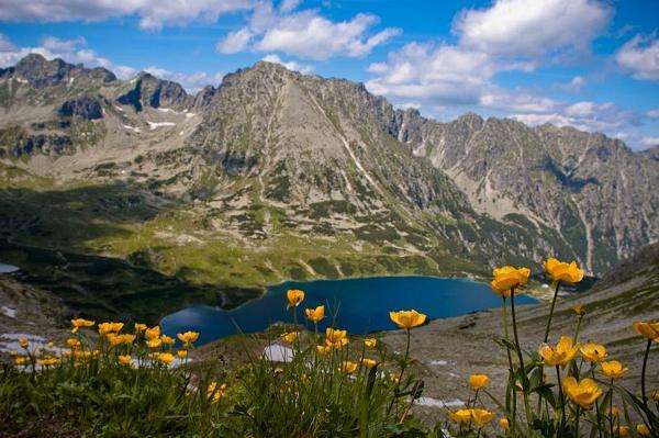 планини, езерце, цветя онлайн пъзел