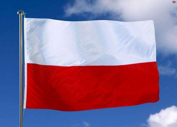 Bandera polaca rompecabezas en línea