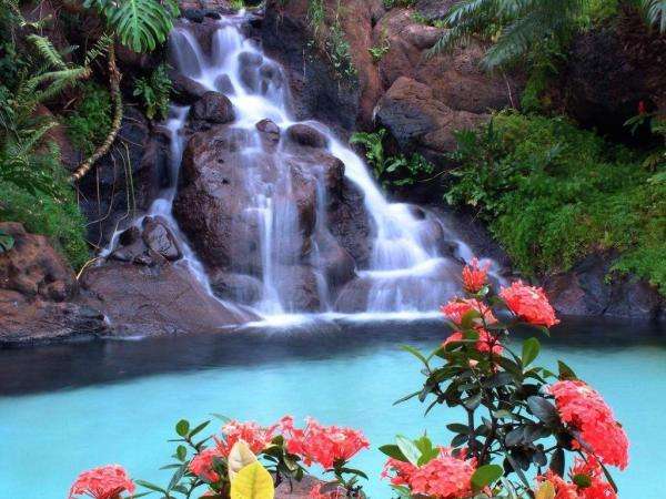 Waterfall and flowers jigsaw puzzle online