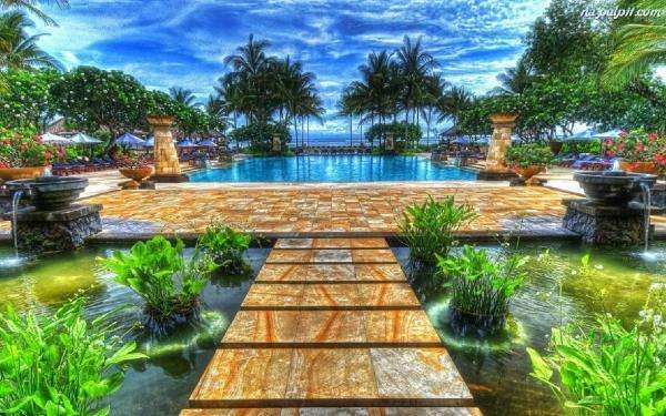 piscina, cais, palmeiras, água puzzle online