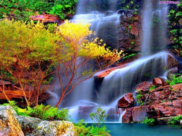 stenar, färgglada växter, vattenfall Pussel online