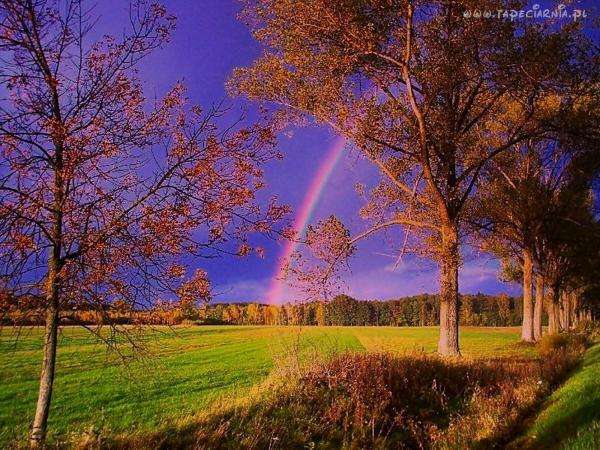 Landschaft, Regenbogen, Farben der Bäume Puzzlespiel online