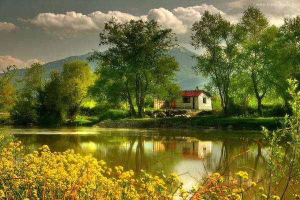riverside cottage, trees, mountains jigsaw puzzle online