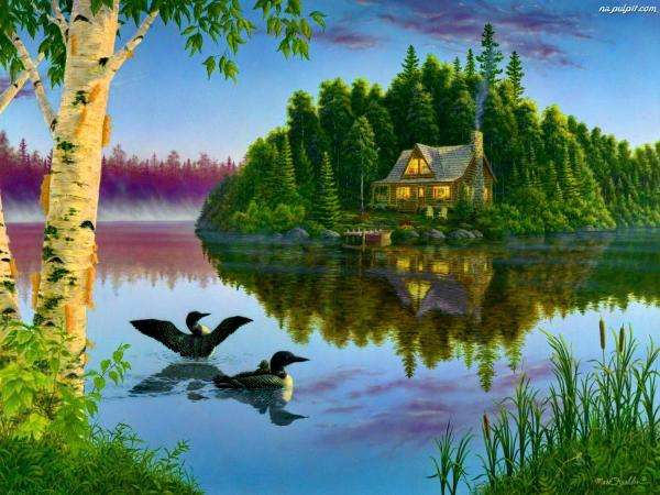 jezero, kachny, dům, rybník online puzzle