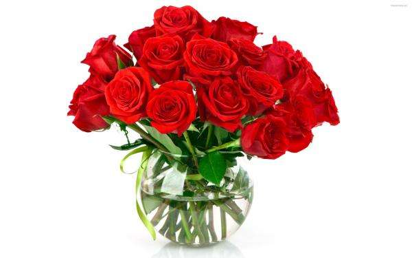 Κόκκινα τριαντάφυλλα online παζλ