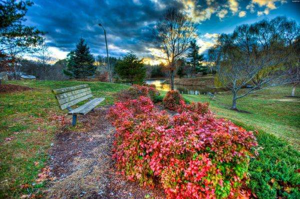 park, bench, lake jigsaw puzzle online