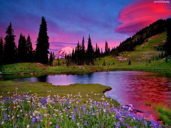 montagne, fiori, fiume, erba puzzle online