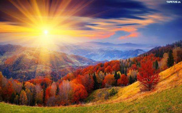 sluneční paprsky.las podzim skládačky online