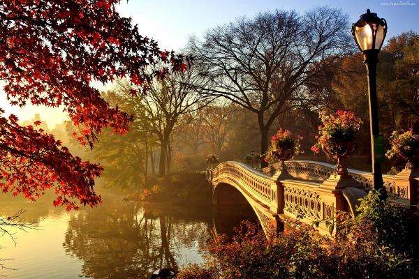 Central Park, Νέα Υόρκη online παζλ
