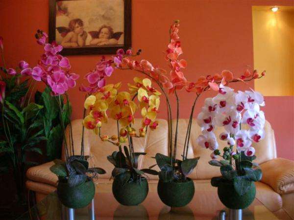 ORCHIDEE IN POT puzzle online