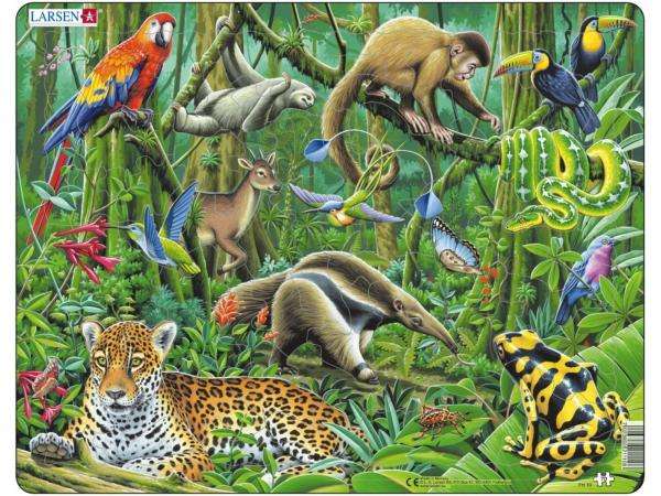 tropisk skog med djur pussel på nätet