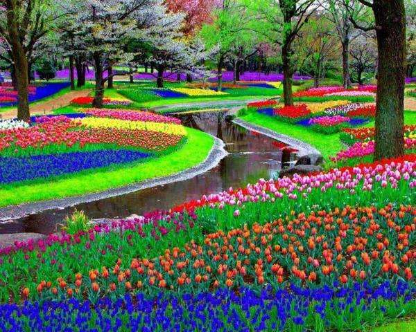 Festa dei tulipani puzzle online