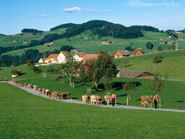 Zwitsers dorp online puzzel