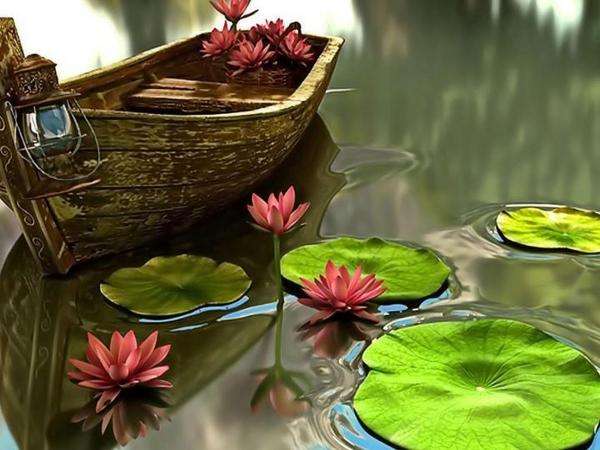 водни лилии, вода, лодка, листа онлайн пъзел