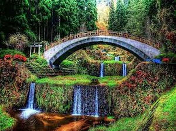 ponte sobre a cascata, floresta puzzle online
