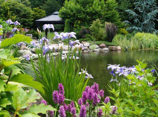 езерце, заобиколено от цветя, ириси онлайн пъзел